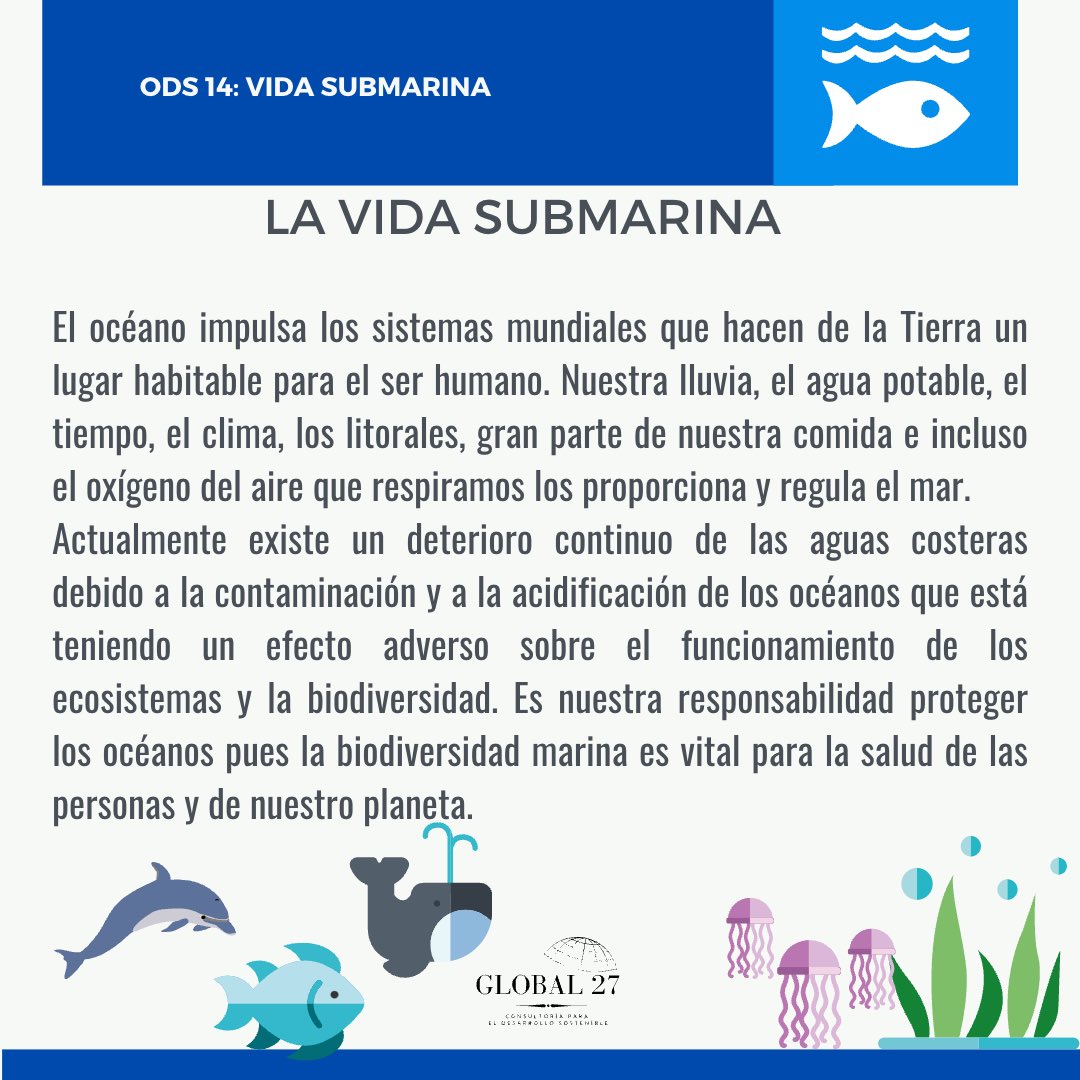 global27mx's tweet photo. En el marco del Día Internacional de la Pesca, dedicamos nuestro #lunesdeODS de @global27mx al #ODS14 Vida submarina. Los océanos son vitales para la vida en el planeta, por ello la importancia de su cuidado y aprovechamiento responsable. #BeGlobal #SomosGlobal #sostenibilidad https://t.co/kSTfGTtqLG