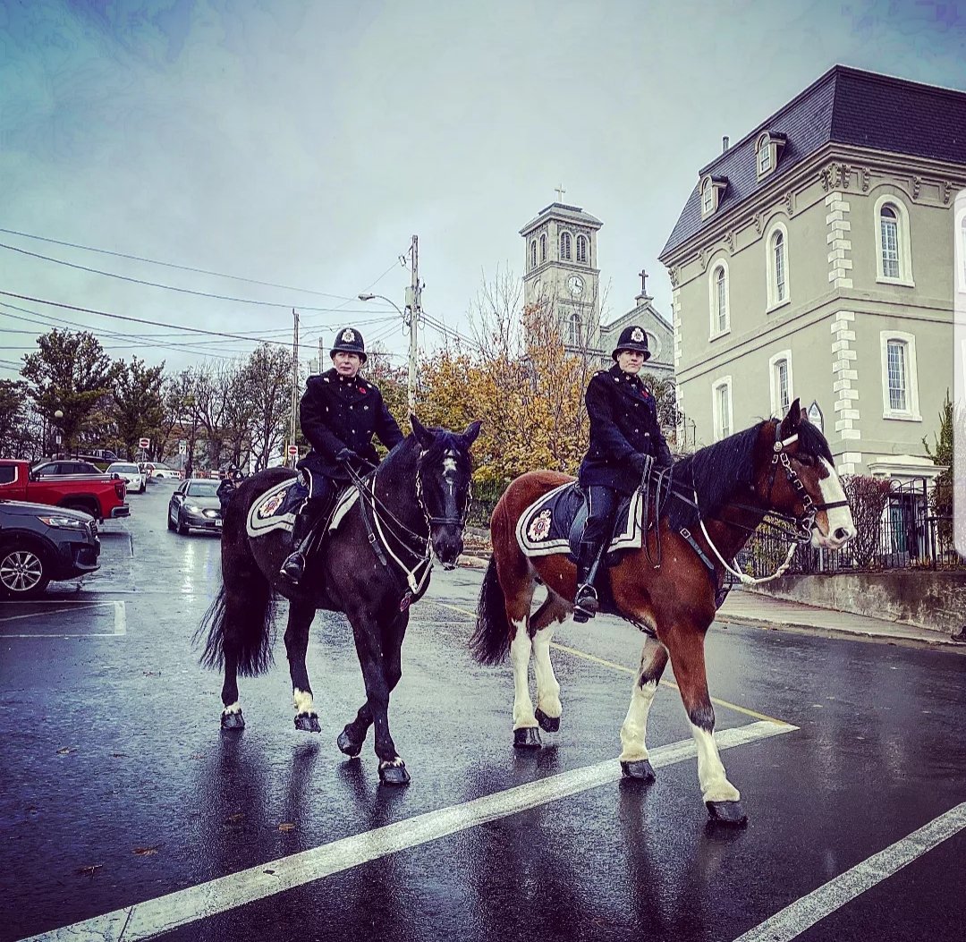RNC_PoliceNL's tweet photo. This #MountedUnitMonday is a capture by Mr. Stephen Cooney, who was able to #SpotTheMountedUnit at the bottom of Garrison Hill in St. John's!
Can you #SpotTheMountedUnit? Post your photo, use the hashtag, and tag the RNC for your photo to be entered!
#nltraffic #YourRNC https://t.co/B9fY4ye0kJ