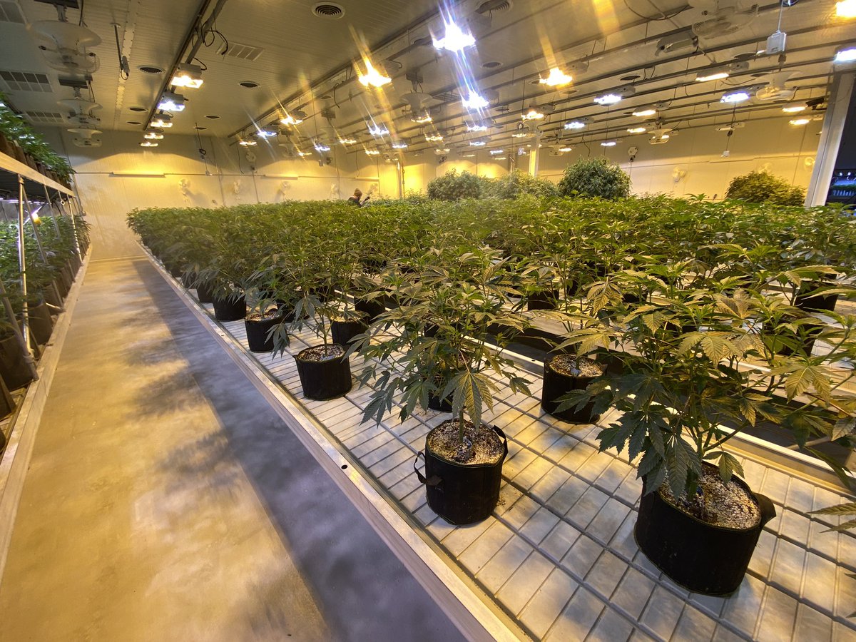 gm. Fighting the winter cold in here.