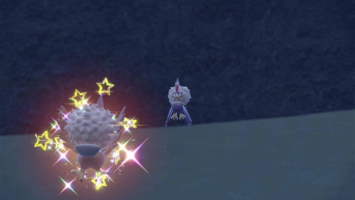 SHPr1nce_'s tweet photo. Shiny Rufflet found whilst hatching eggs https://t.co/Z7vuTZrnRk