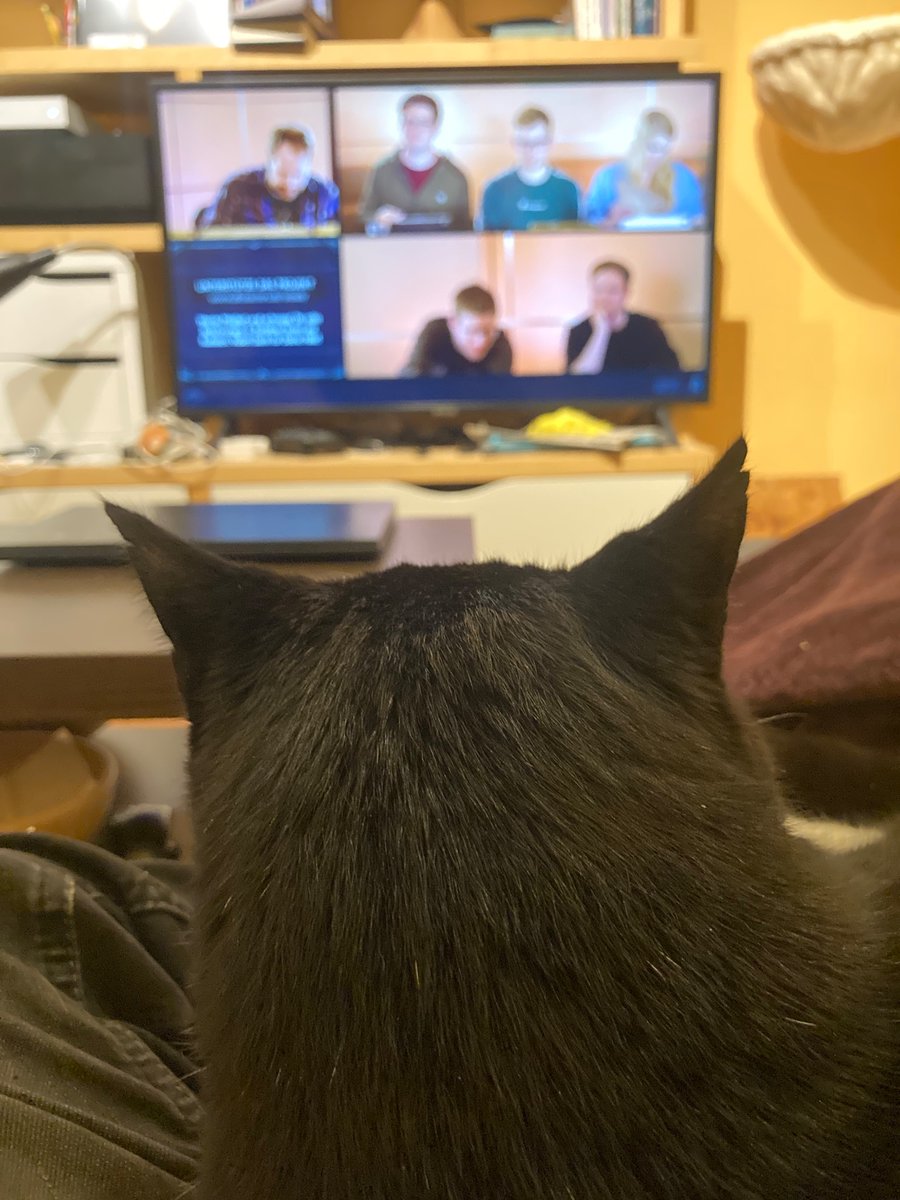 AliveDevil tweet media