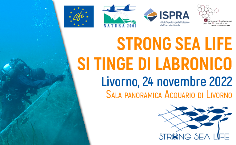 Conf Lavoro e Servizi tweet media