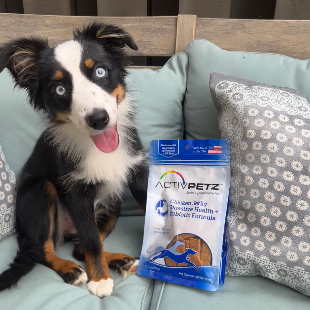 Why Is Jerky Bad For A Australian Shepherd