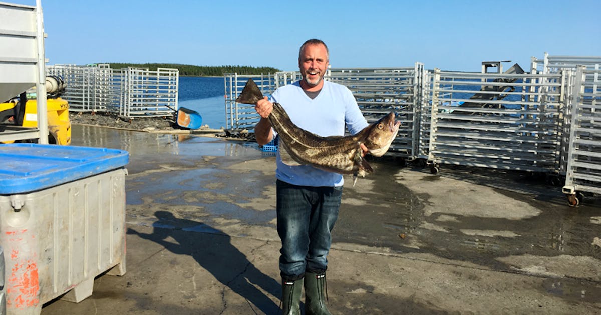 Our Ben Wiper had a chat with Mark Vaughan-Jackson from Saltwire about our main project streams from municipal composting, unutilized livestock waste, and marine collagen!

Read more now! 👇
saltwire.com/nova-scotia/bu…