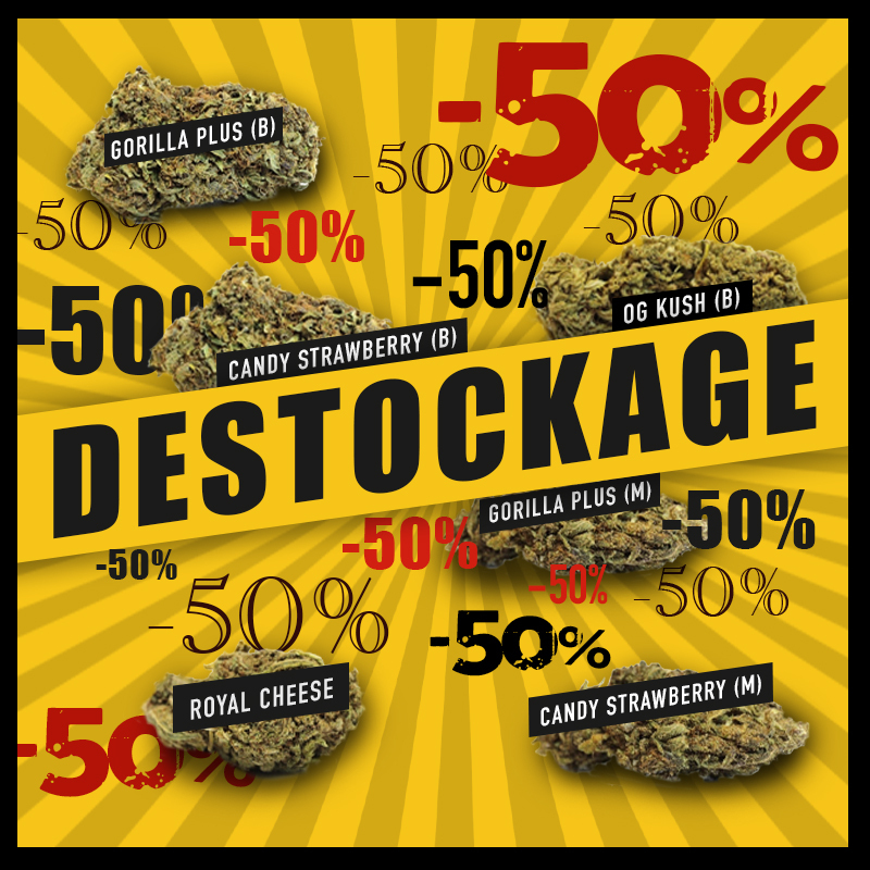 Cbd4Pro1's tweet photo. ⚡DESTOCKAGE⚡

Découvrez notre sélection de variétés "Big Bud" et "Medium Bud" à -50% !

❗FIN DE SERIE / SAISON 2021❗

On vous donne rendez-vous sur https://t.co/1exxk4MW9O 😉

#cbd #cbdgrossiste #cbdmovement #wholesaler #cbdwholesale #cbd4pro #btob #cbdshop #franceverte https://t.co/7a3dBQmFtx