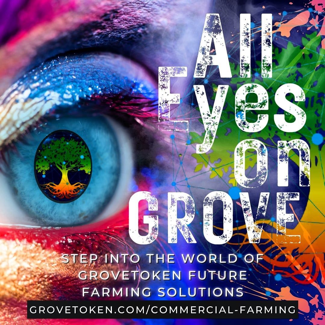 MohamedElsyd168's tweet photo. مع قرب انتهاء شتاء العملات الرقمية
تابع أخبار
#GroveCoin 
الوقت لايزال مبكرا للاستثمار
لاتضيع فرصة جبارة
تابع
أبحث
أستثمر
انضم الى افضل واقوى مجتمع
#GroveGreenArmy 
تابع المصادر الموثقة
https://t.co/eeBRIuI5B0

#Grovex #GroveB #GroveSwap #GroveKeeper #BSC #ETH #GroveTokenDubaiLLC https://t.co/fdQzGS7grx