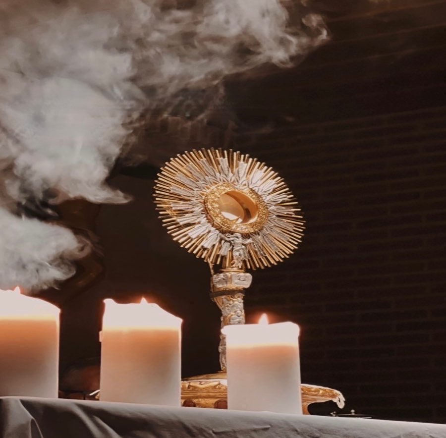 Con esta emotiva frase despedimos el año litúrgico.
Feliz semana 🤍