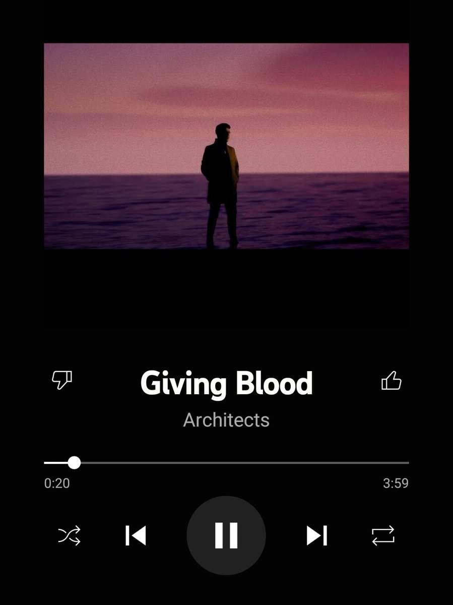 calamarities.bsky.social tweet media