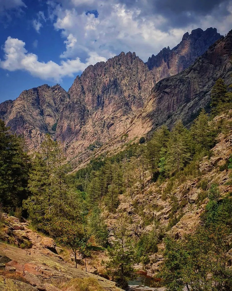 otcalvi's tweet photo. En Balagne, la montagne est toute proche de la mer 😍
.
.
📷 lovecorsica38
#balagnetourisme #balagne #corsica #landscapephotography #forêt #bonifato #naturacorsa #stonde #sistàbèindènoi #JeRedécouvrelaFrance #explorefrance #instanature #naturelovers https://t.co/jANR0D5XWG