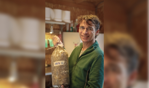 Camiel kweekt oesterzwammen uit mengsel met koffieprut. -  culemborgsecourant.nl/nieuws/algemee…