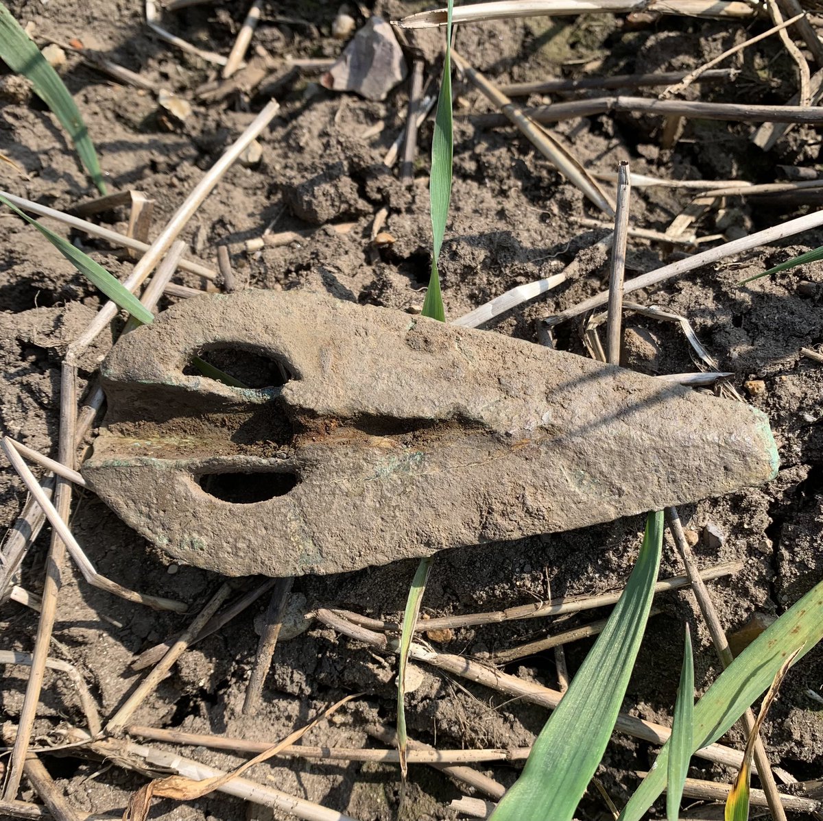 Joe Firth tweet media