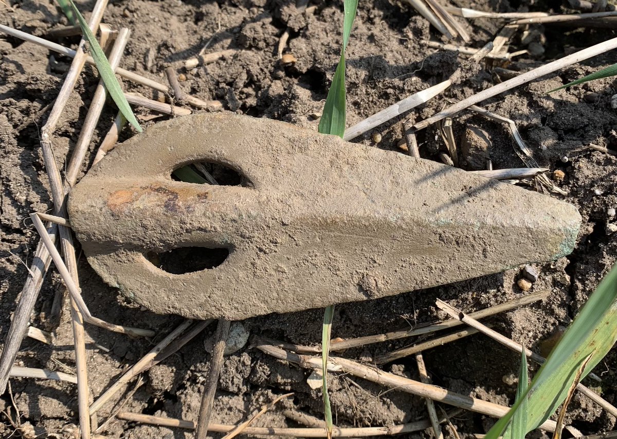 Joe Firth tweet media