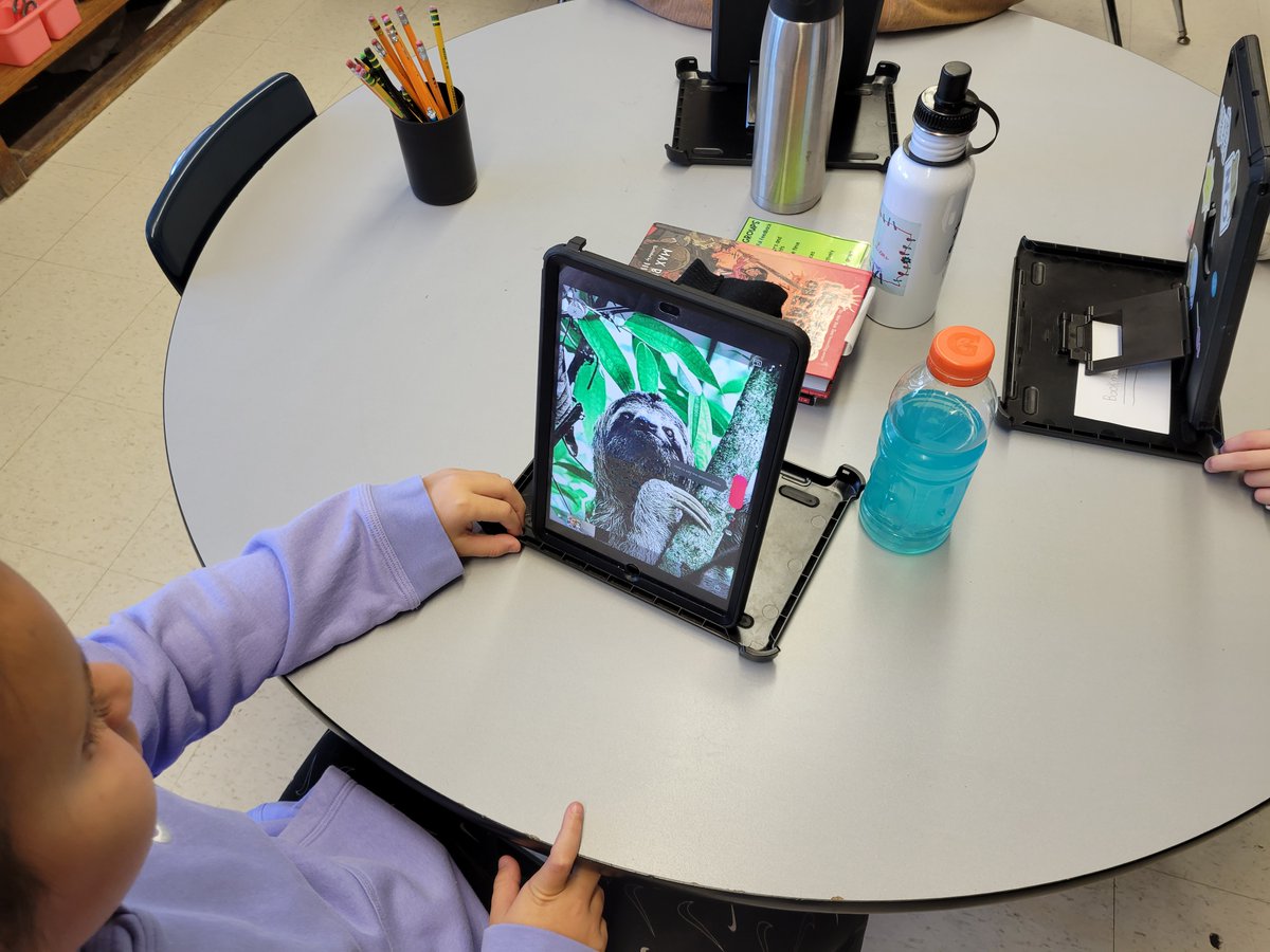 melthornhill's tweet image. 4th grade students at Holz elementary today are using Clips to create a video for their report. #kcslearning2020