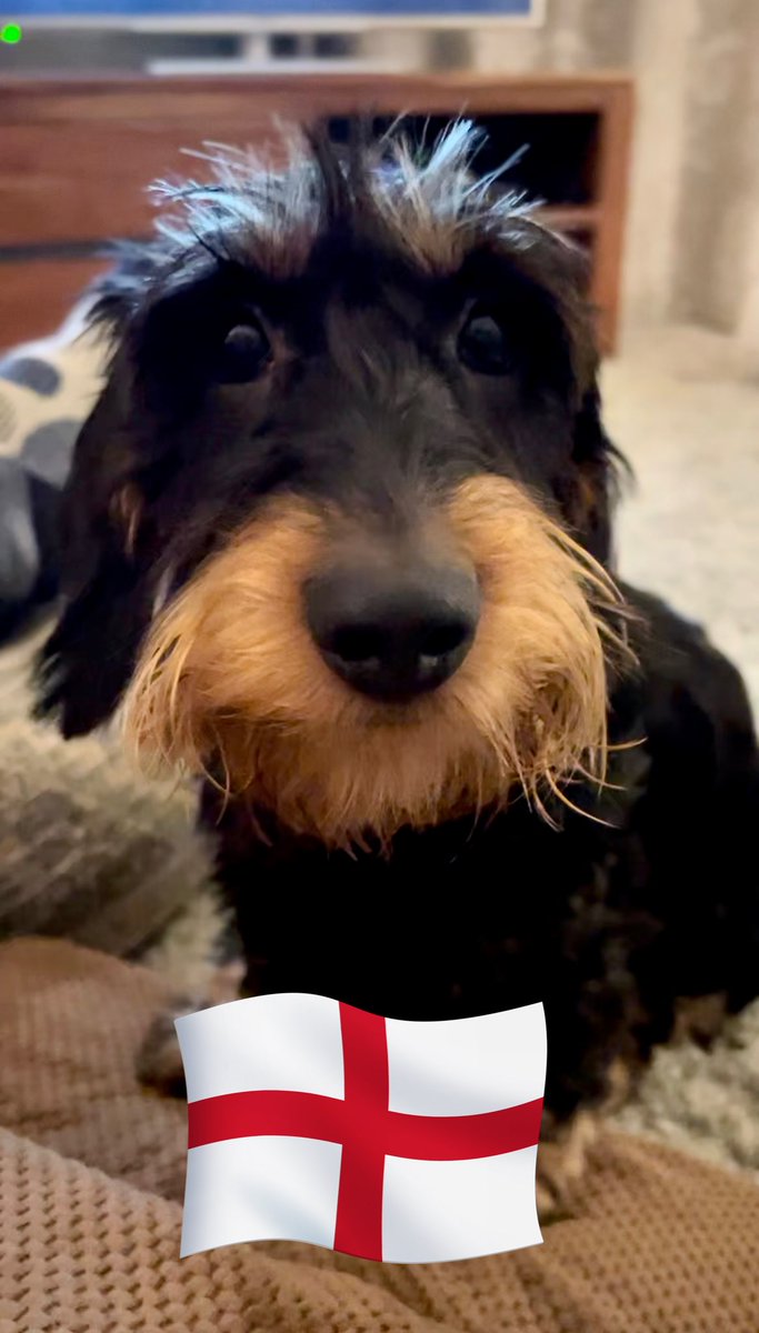 IsabellaDaxie's tweet photo. @SlinkyDog10 I’ll give you 5:1 on England #takingbets #FIFAWorldCup 😘 https://t.co/lAi7vVHy2B