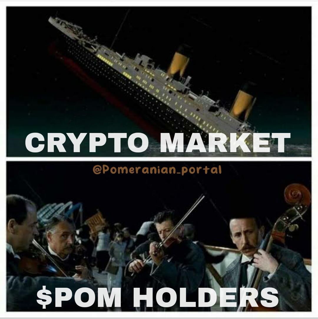 Breath_Ryan's tweet photo. @100xAltcoinGems Where are the #meme lovers. Bag @PomeranianERC now, potential is incredible, #market cap is low with a full stack dev and hardworking team. #Pom is set to dominate the #Crypto space. https://t.co/mbk1wYqVYg https://t.co/g1dFAbzw4d