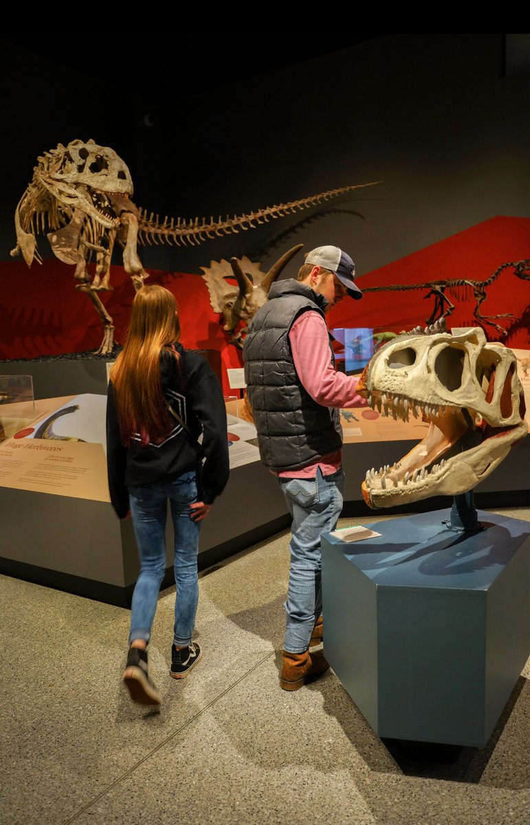 Innovation Academy tweet media