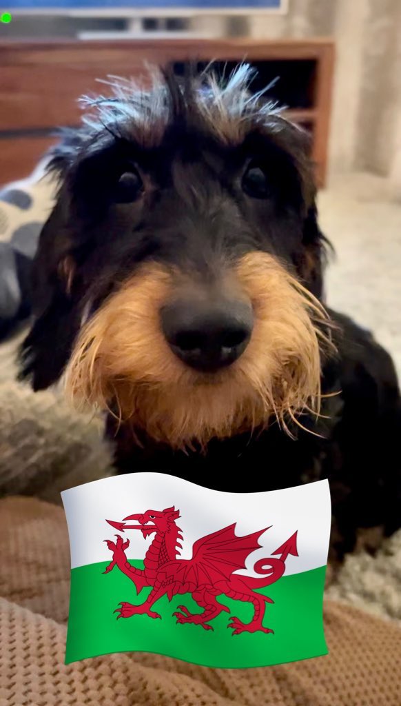 IsabellaDaxie's tweet photo. @TycjanC Right answer!! 😝😝 10:1 odds #takingbets ⚽️🏴 £10 to win xx https://t.co/0z2ivOcXAm