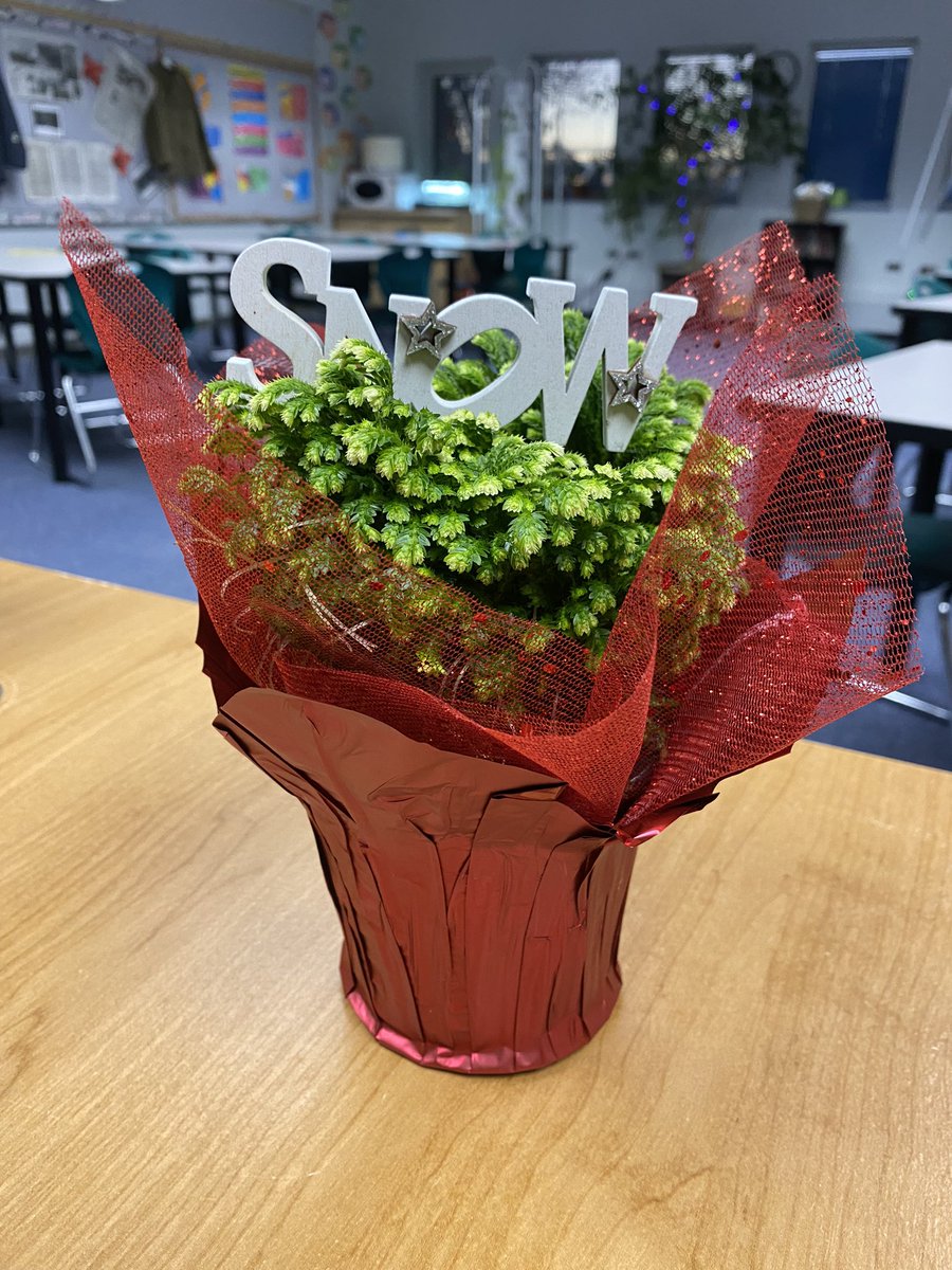 A little something special left on my desk this morning. Thank you!@Lacombejrhigh  #mademyday