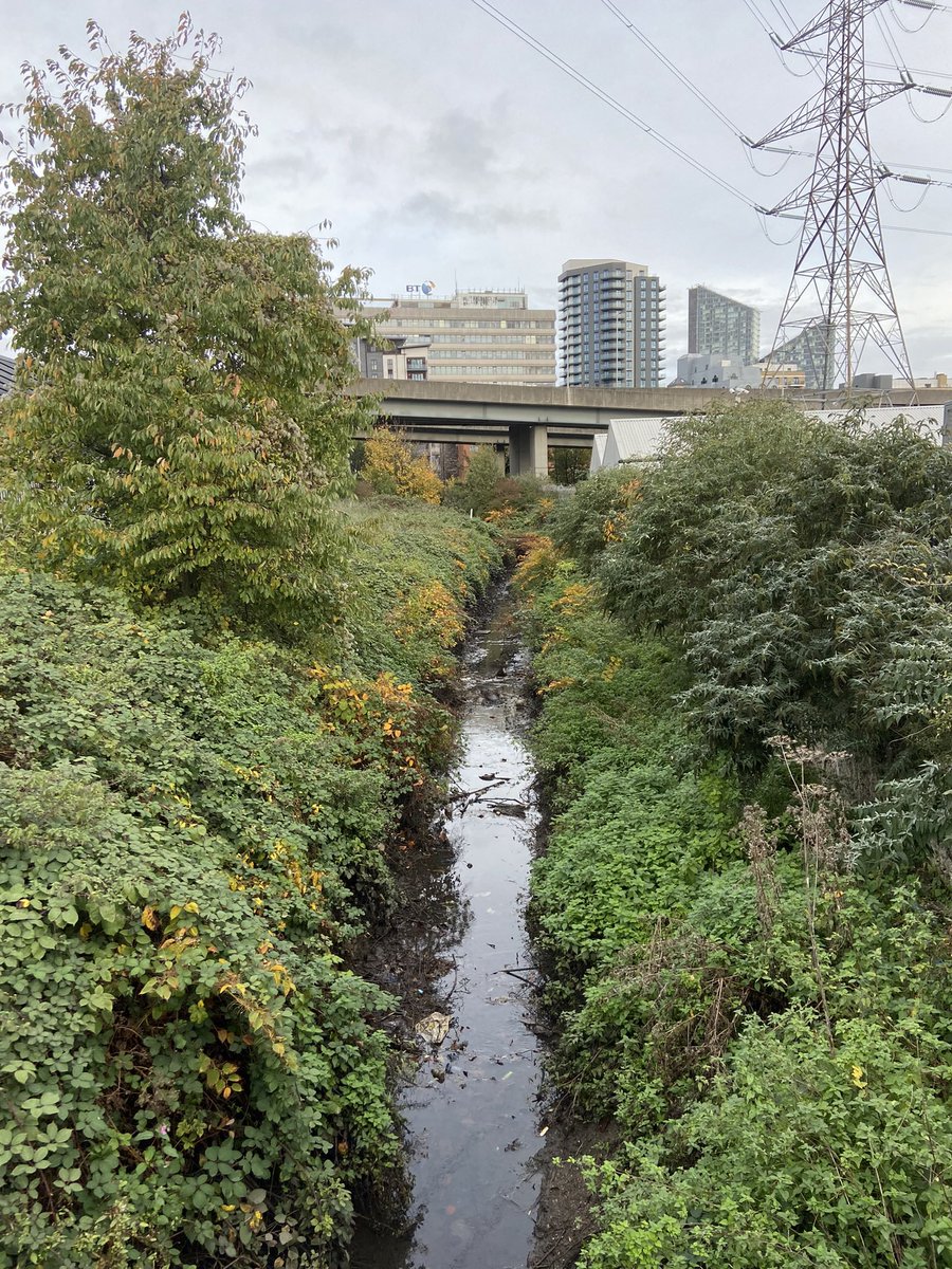 “Before landscapes die, they first vanish in the imagination”. This is the story of a small brook on the outskirts of London, the Aldersbrook, which has survived against the odds, but in the worst state imaginable, &amp; my attempts to act as a guardian of this river &amp; its rights🧵