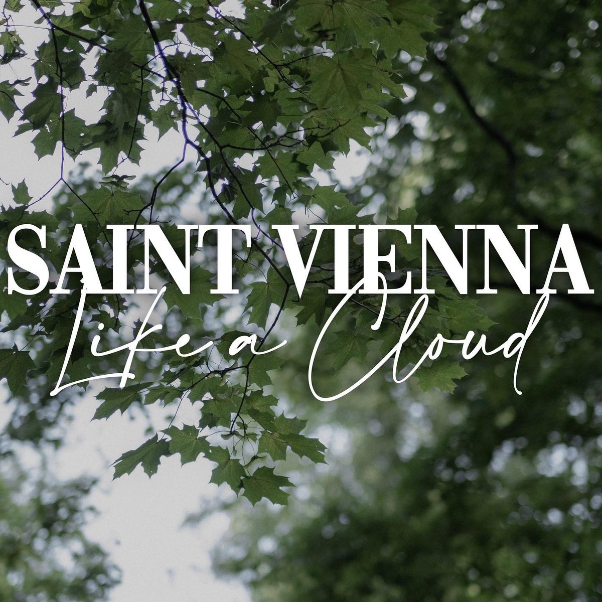 saint_vienna tweet picture