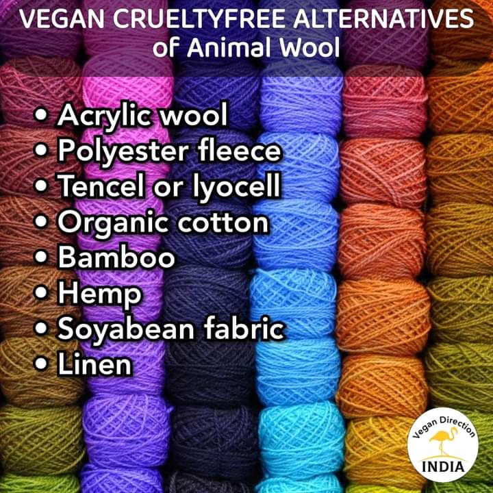 liveVeganIndia's tweet photo. वीगन पशु क्रूरता मुक्त वस्त्र चुने। क्यो की पशु दोस्ती करने के लिए है। इस्तेमाल करने के लिए नहीं। 
#saynotowool #wearvegan #govegan https://t.co/8saPfht6Nm