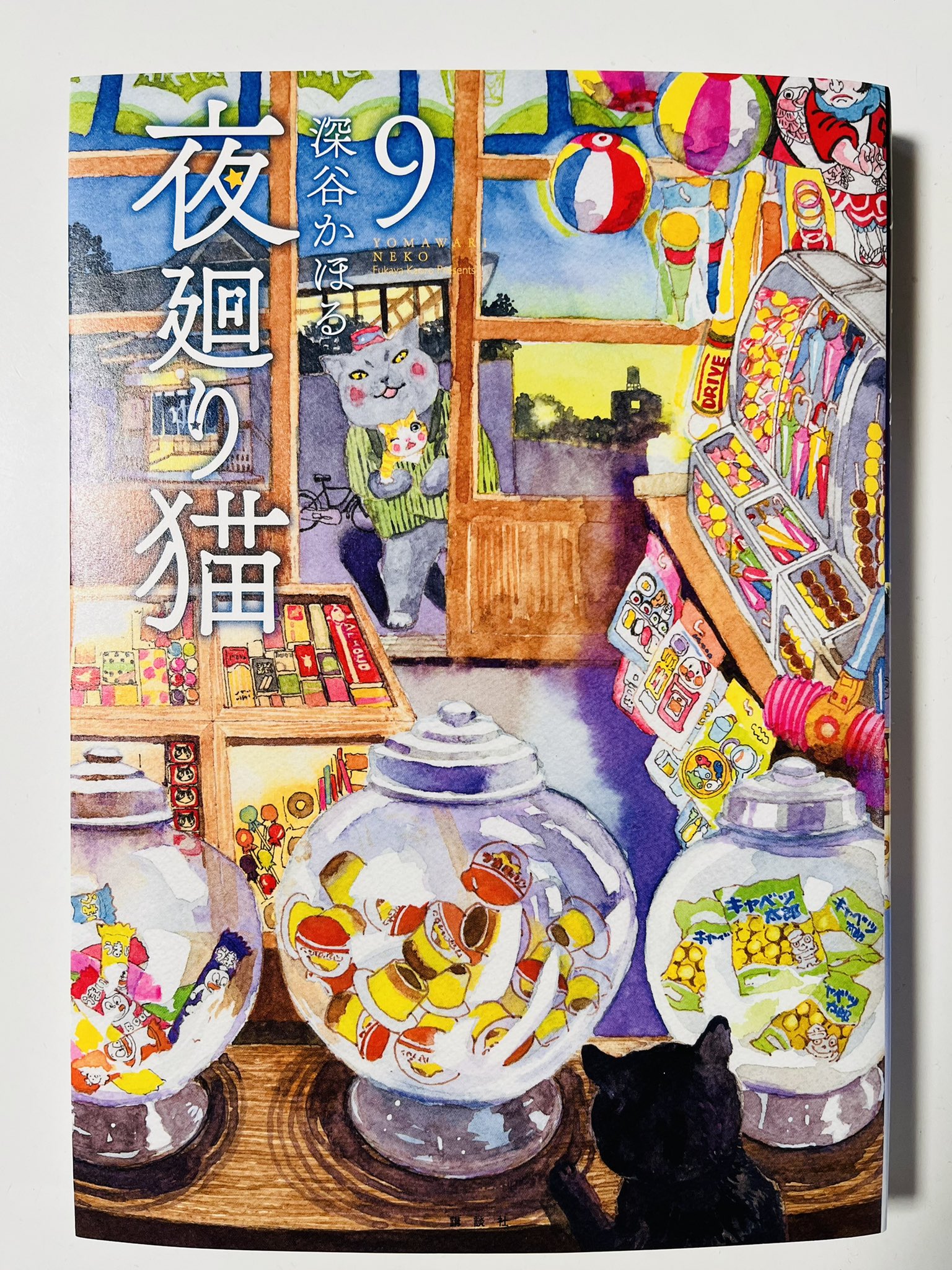 深谷かほる「夜廻り猫」11巻 on X: 