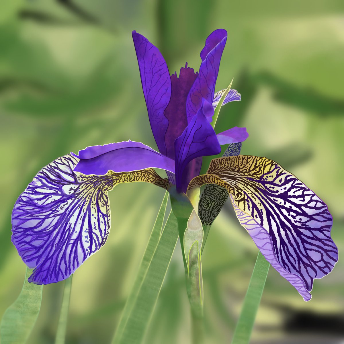 PolluxAndKastor's tweet photo. #photorealism #photorealistic #digitalart #DigitalArtist #iris #flowers #depthoffield #siberianiris #shakersprayer #purple #nature https://t.co/kpRdVAZdLe