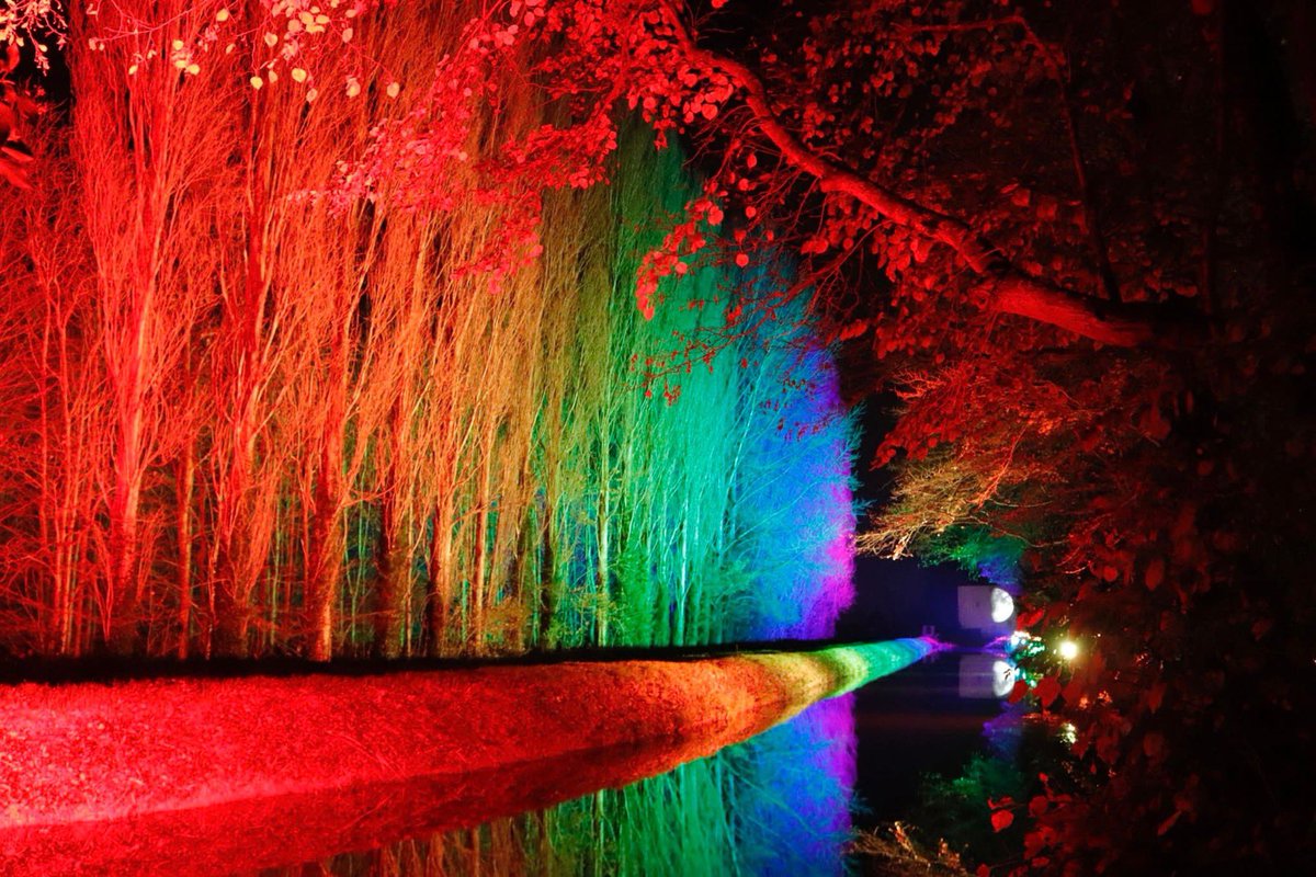AngleseyAbbeyNT's tweet photo. Brighten up your winter with a trip to Winter Lights. Say no to grey and book your tickets today: https://t.co/bhRxqNAZnV
#AAWinterLights #cambs https://t.co/l2kx8UEtbK