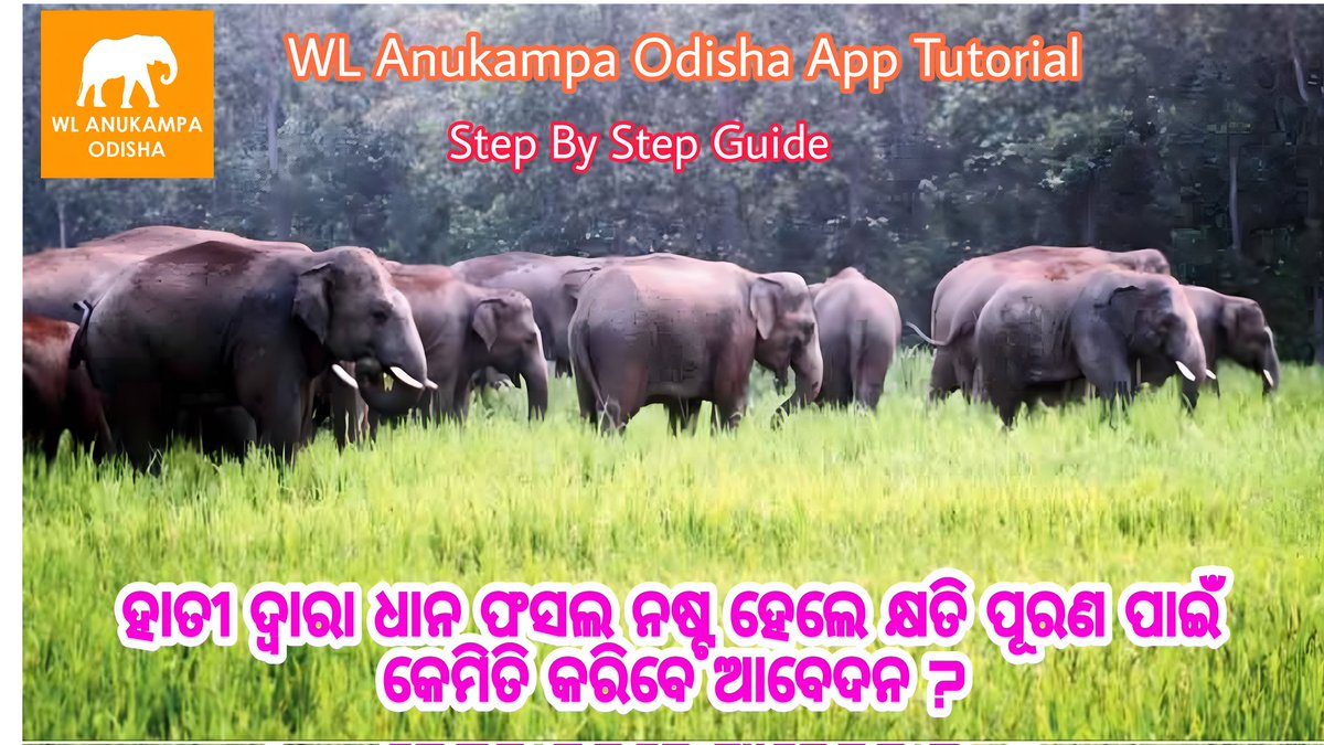 amar_odisha's tweet photo. Learn How To Apply For Crop Damage Compensation Step By Step Guide In Odia
🛑👉 https://t.co/c8PsIMH0AY
#Save_Similipal
#anukampa_Odisha
@WWF
@BaripadaT
@PCCFWL_Odisha
@pccfodisha
@ntfa
@Similipal_South
@SimilipalNorth
@DM_Mayurbhanj
@RBaripada
@dfo_satkosia
@DfoKeonjhar https://t.co/C3pcwlknhi