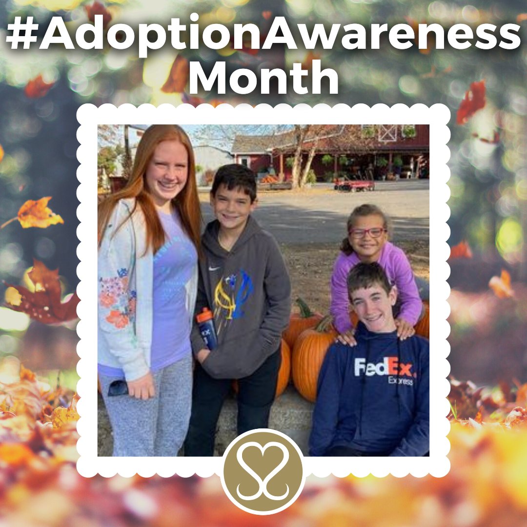 Sacred Selections tweet media