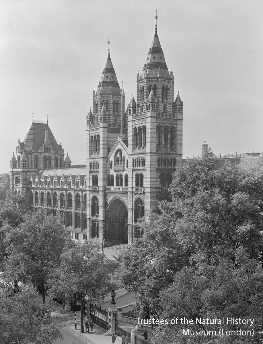 A beautiful #view of the Natural History Museum in London taken in the 1960s #Museum30 @NHM_London
