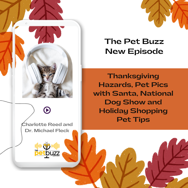 Keeping your pets safe on Thanksgiving.
🍂 <a href="/ASPCA/">ASPCA</a> Tina Wismer
🍂 Chris Landtroop about pet pics with Santa 
🍂John O’Hurley @NatlDogShow 
🍂Charlotte and Dr. Fleck talk about pet tips for holiday shopping
ThePetBuzz.com.
#nationaldogshow #dogandsanta #petholidays