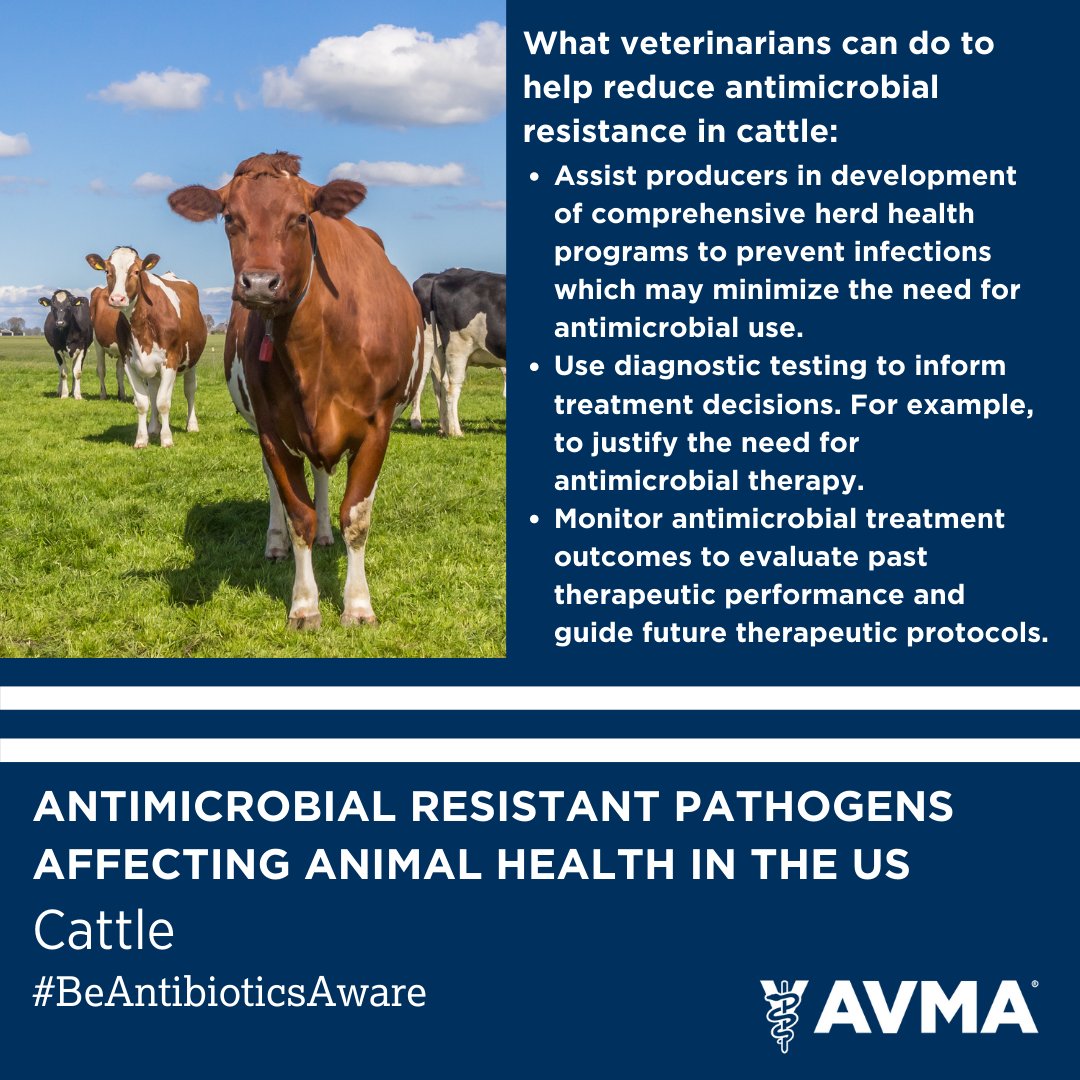 Tweet by AVMA (American Veterinary Medical Association)