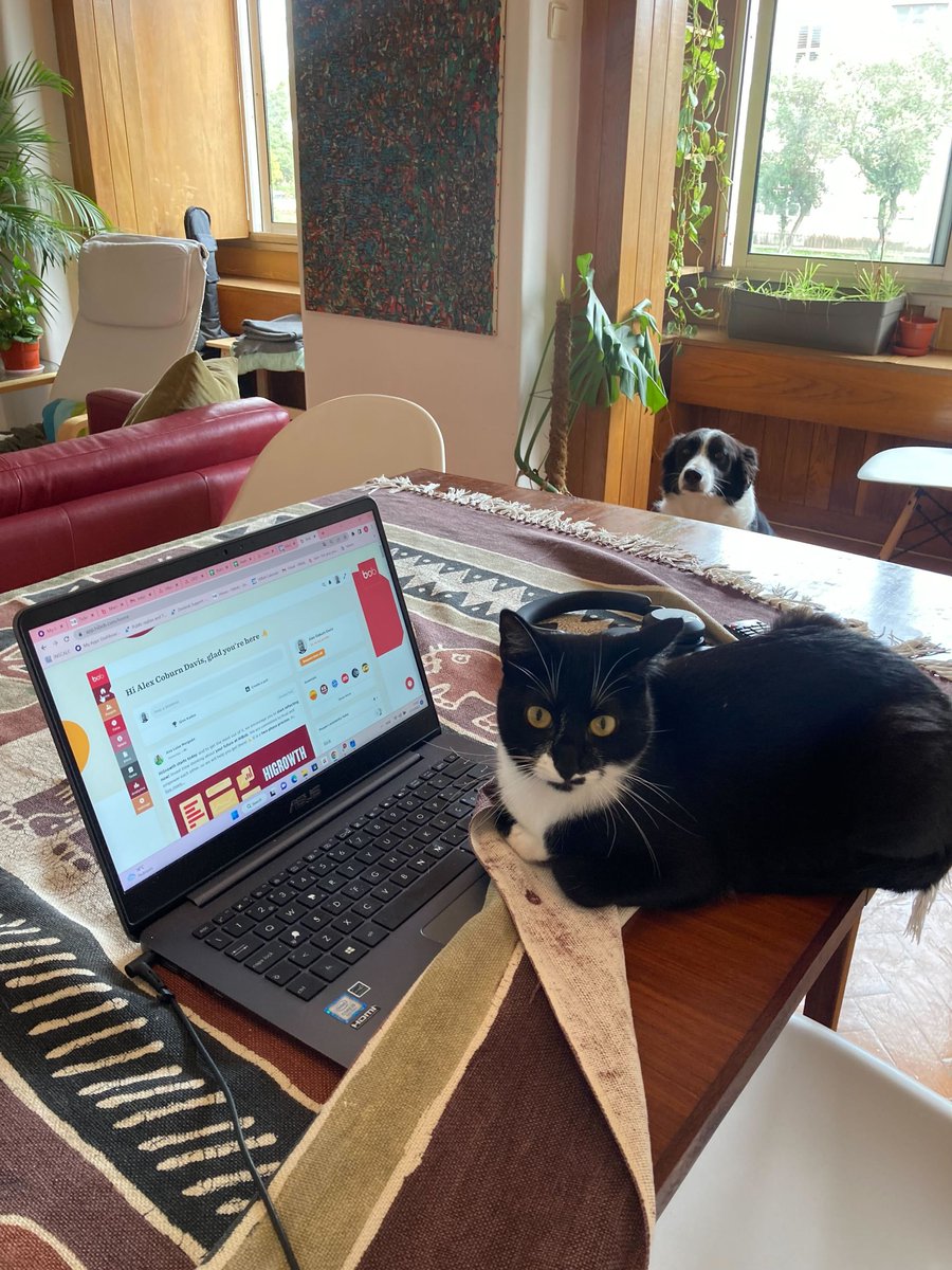 HiBob_HR's tweet photo. Employee trust is in, #micromanagement is out. One of the most important things when it comes to #hybrid and #modern work is greater #flexibility and #Autonomy at work. Looks like Tuttopoilo didn't get the memo.
#dogsatwork #petspotlight #pets #dogsoftwitter https://t.co/nzblrzB7sh