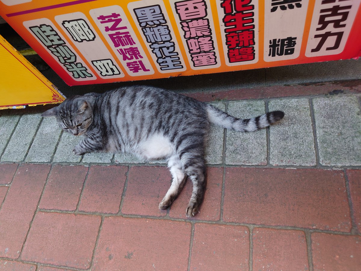 A5 (@a537691279) on Twitter photo 