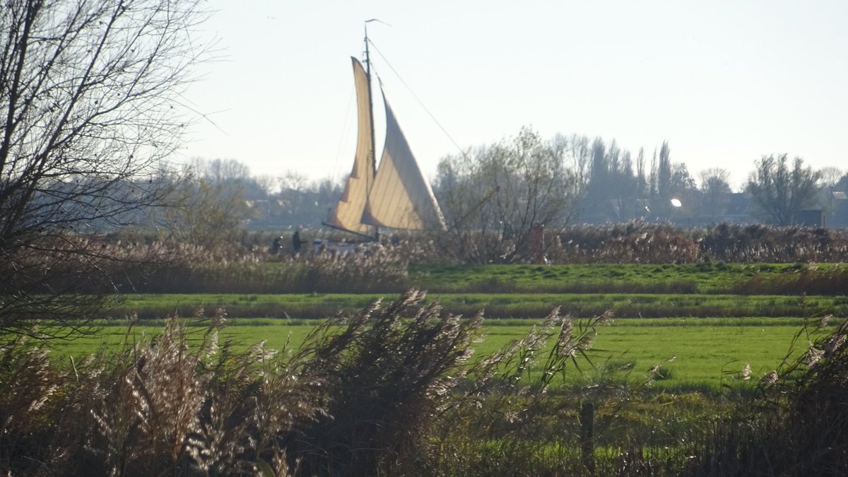 Pietsje Hannema Greidanus tweet media