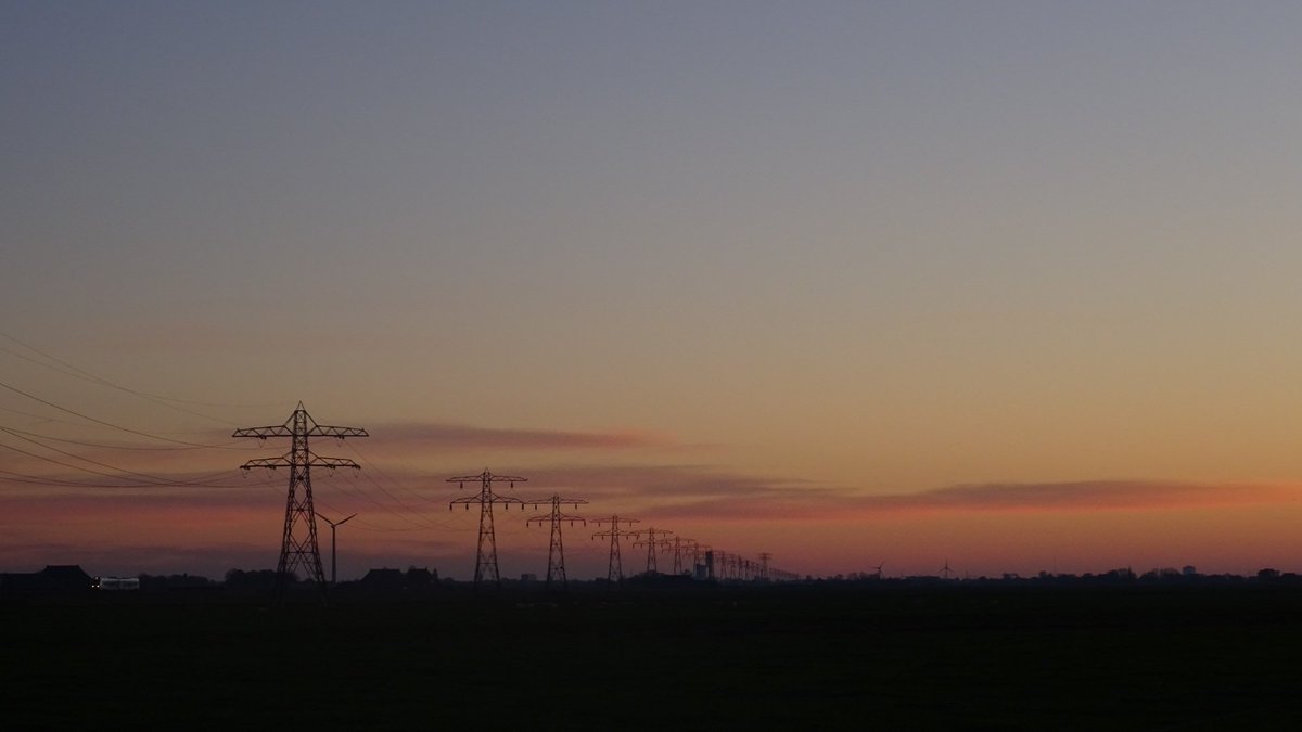 Pietsje Hannema Greidanus tweet media