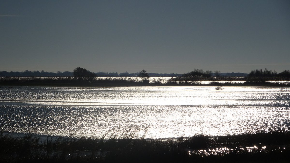 Pietsje Hannema Greidanus tweet media