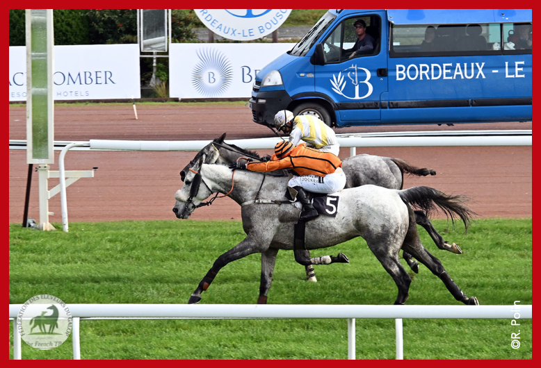 Fedeeleveurs's tweet photo. 🔥CALNUTZ, fils de #Balko et résistant de 10 ans, s'est magnifiquement bien battu pour la 1e place dans le Prix de Chantegrive - Grand Steeple-Chase de Bordeaux, Listed à @Hippodromebdx (20/11) !
Félicitations à ses éleveurs dont Dorothée Saliou ! 🙌
#BreedInFrance #RaceAndCare https://t.co/dSgPwYaW8J