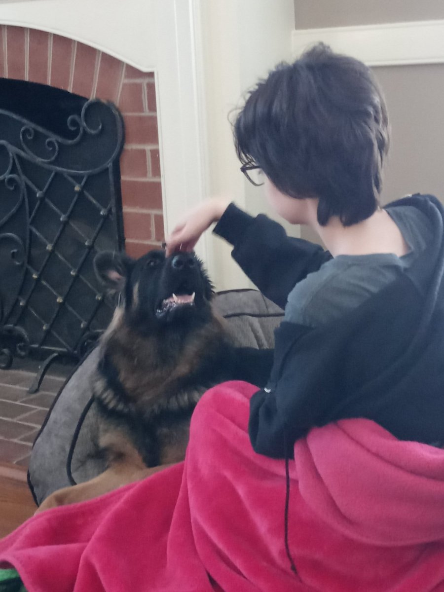 J_drgnhrtfaith's tweet photo. Puppy happiness 😍 Who doesn't want nose scratches? #gsd https://t.co/uLOVRkf9Xx