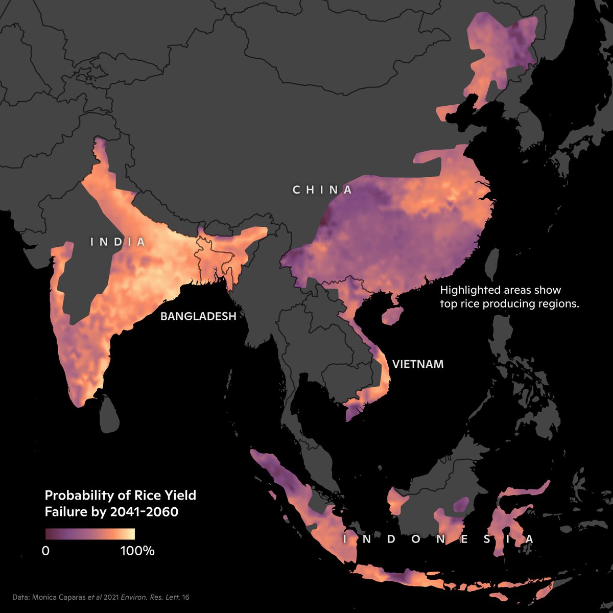 WoodwellClimate's tweet image. From 11/20: While rice is a global favorite starch, much of it is produced in SE Asia. Rice yields will likely fail more often in the future due to climate change.
#Rice #ClimateChange

#30DayMapChallenge (Day20: My Favorite)

(🗺️: @cmshintani,📊: Monica Caparas)