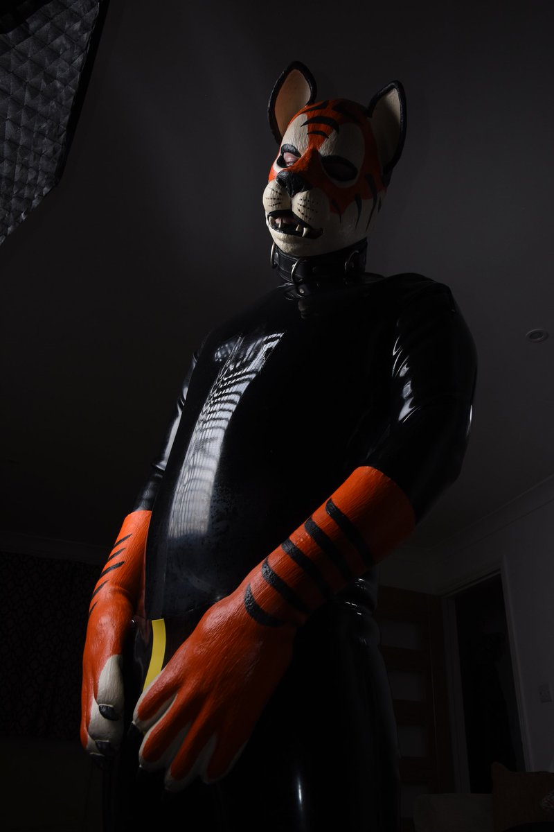 Squeaky Tiger Thing tweet media