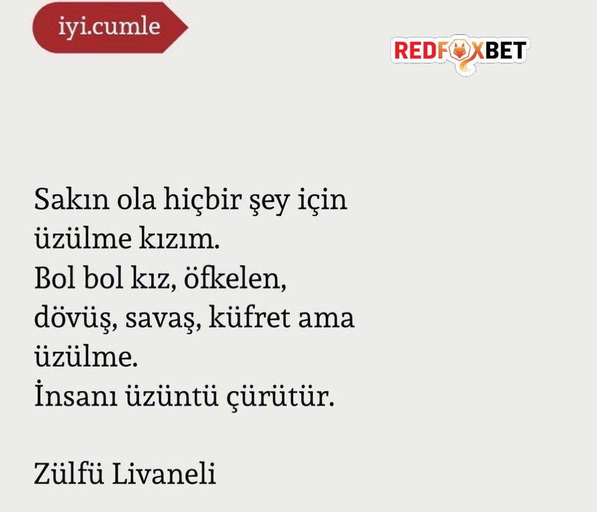 Zülfü Livaneli’nin şu yazısı çok hoşuma gidiyor.