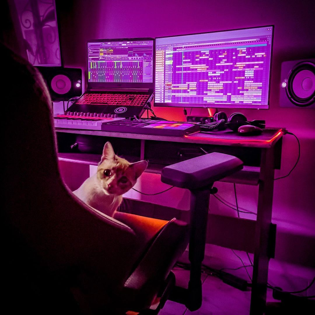 WeAreFocusrite's tweet photo. The office and the assistant πΈπ
πΈ maori.col
#melodichouse #techno #djlife #music #music #djset #nutechno #melodeep #homestudio #focusrite https://t.co/85JCwLskg3