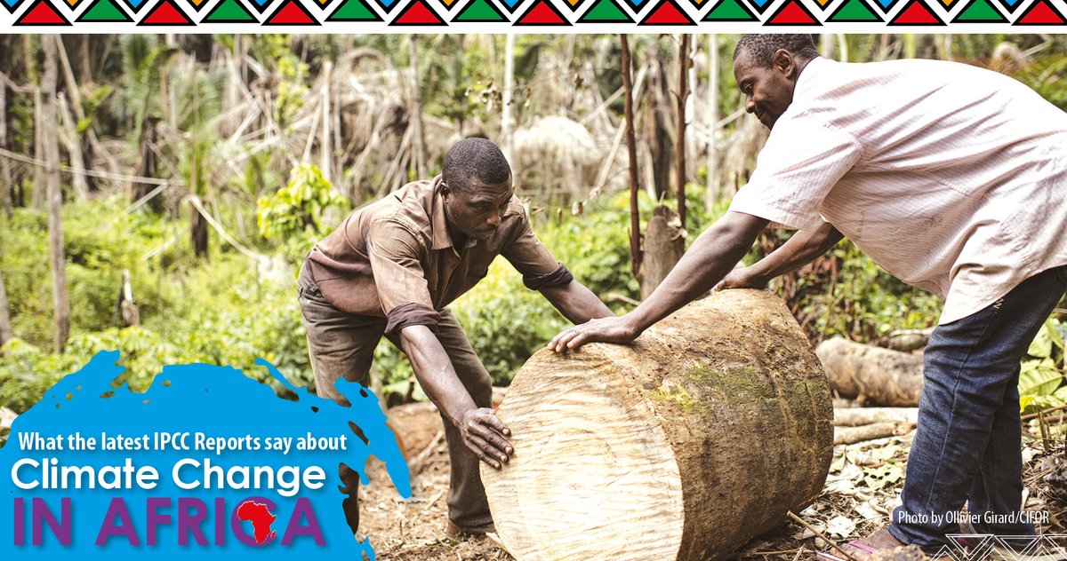 In #Africa, #EnergyPoverty drives #deforestation and #ClimateChange: 90% of harvested wood is used for fuel. From 2010-2020 African tropical forests disappeared at 3.9 million hectares per year. 

Read booklet: ipcc.ukzn.ac.za

#IPCC #COP27 #ClimateAfrica #SDGs #nature