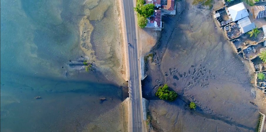 MeerWissen Initiative tweet media