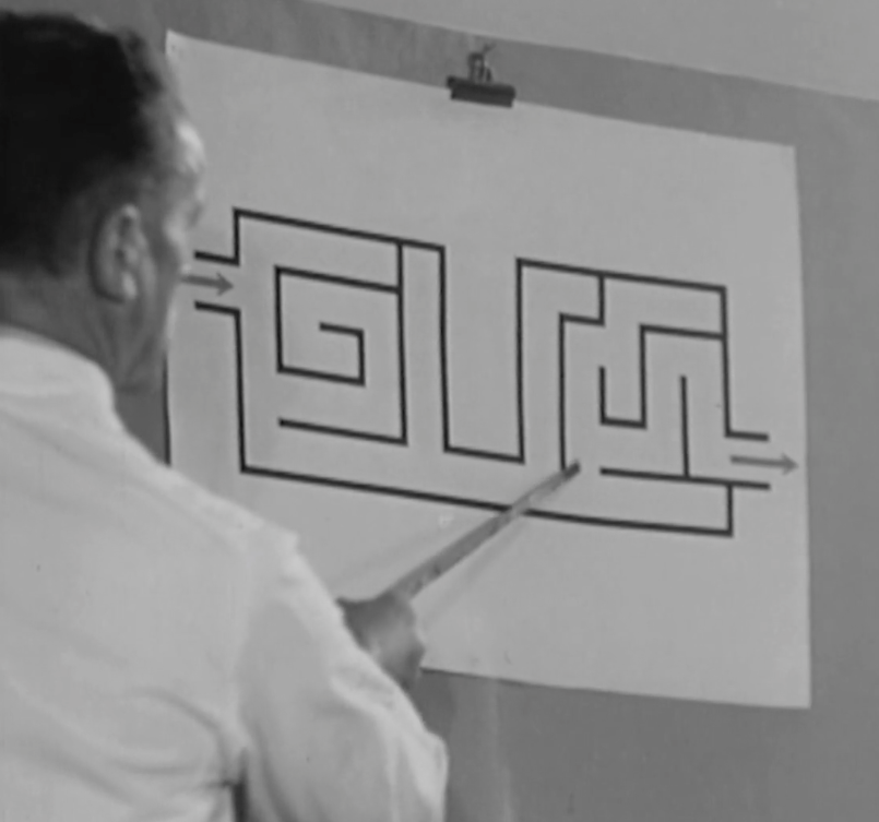 RaphaelTinguely's tweet photo. « L’Institut d’orientation professionnelle de Genève vu par le Ciné-Journal suisse (1942) » : https://t.co/vN2dd61w3T via @hypothesesorg #histmed #histpsy #differentialpsychology #workpsychology #InstitutJeanJacquesRousseau #psychometrictests #HugoHeinis #ÉdouardClaparède #Geneva https://t.co/jySVl0jxXV