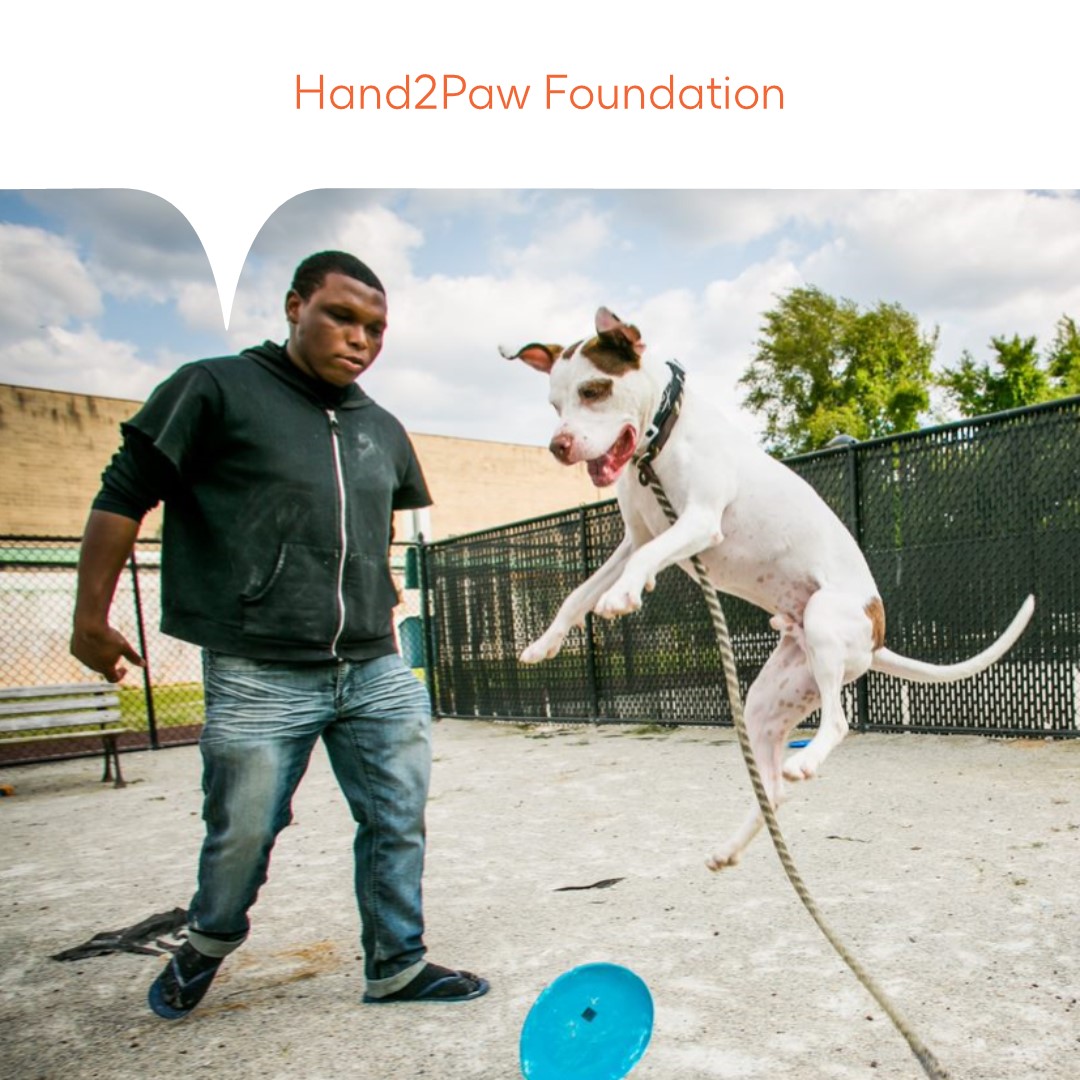 GSKUS's tweet photo. We are proud to support our #GSKIMPACTUS winners for empowering people in #Philly &amp; #TriangleNC through employment and life skills support.

@welcomingcenter @hand2paw_philly #hand2paw @StepUpMinistry @communityef