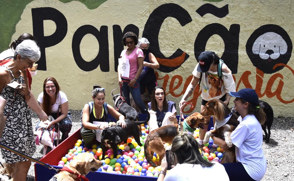 O Parcão da Freguesia voltou! 

Pra alegria dos doguinhos da região, reinauguramos o local, que fica na Rua Geminiano Góis, em Jacarepaguá.

Após receber uma super reforma, o espaço agora conta com fachada nova, brinquedos, mobiliário, paisagismo e iluminação de LED.