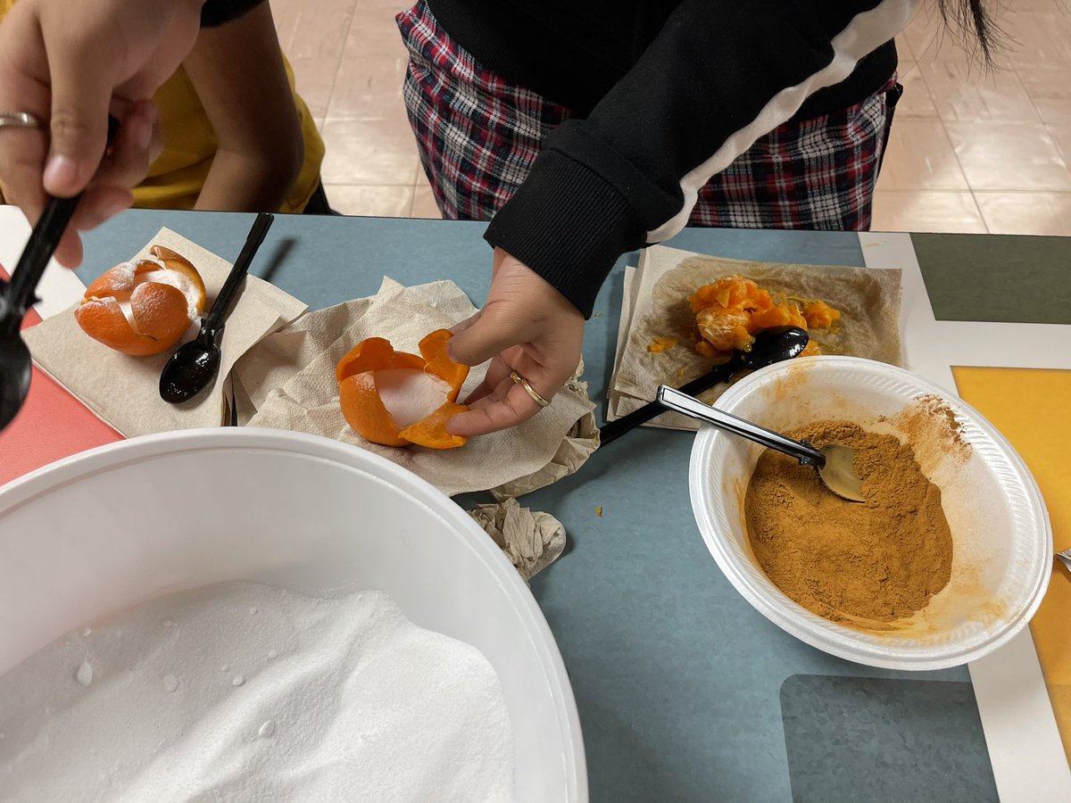 316techcoach's tweet photo. Students mummified oranges to learn about the mummification process in Ancient Egypt. It might not be high-tech today, but it was 3000 B.C!@Truesdellusd259 #learningcanbefun https://t.co/gXWuAtmdkL